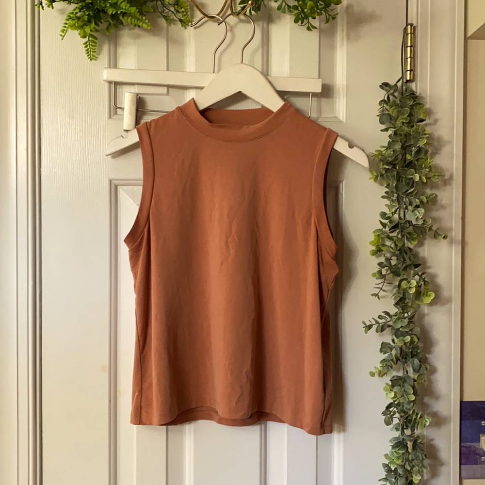 Madewell Mauve Crop Top